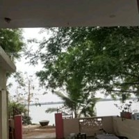 Anusha D Email