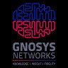 Gnosys Networks Employee Developer's profile photo