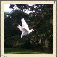 johnson& pace inc Employee Michael Struwe's profile photo