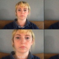 Medallion Employee Catherine Dambruch's profile photo