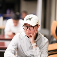 David Chi Email & Phone Number