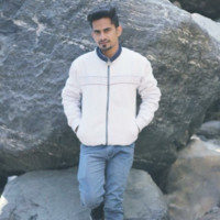 Ravi Malik Email