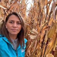 Chemark Rom Employee Arina Dragomir's profile photo
