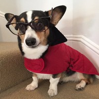 Rocksbox Employee Maki Boo's profile photo