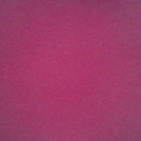 The Mailing Room Employee Claire Thomas's profile photo