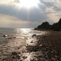 Stacy Lambrecht Email & Phone Number