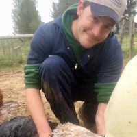 Lincoln Memorial University Employee Robert Just's profile photo