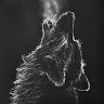 Alex Eckstein Email