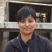 Yvonne Hernandez Email & Phone Number