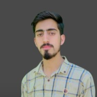 SoftoSol Employee Faiq Minhas's profile photo