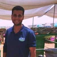 4GENETICS Employee Ahmed Elkassas's profile photo