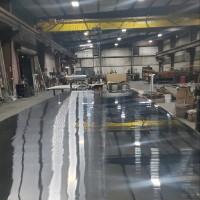 P & C Metal Polishing Employee Donna Williamson's profile photo