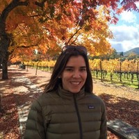 Van Leer Foundation Employee Claudia Vidigal's profile photo