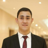 Mohamed Tantawi Email