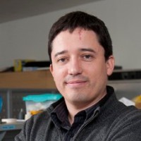 Universidad Adolfo Ibáñez Employee Thomas Ledger's profile photo