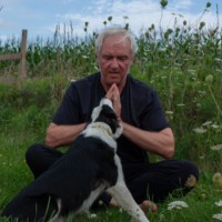 Will Falk Email & Phone Number