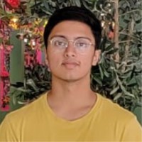 SandBox Semiconductor Employee Siva Indukuri's profile photo