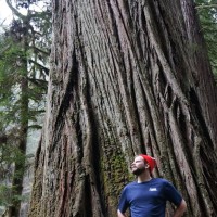 Chloris Geospatial Employee Adam Sibley's profile photo