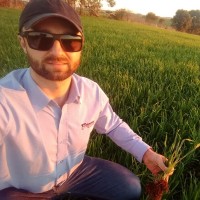3TENTOS AGROINDUSTRIAL Employee Diego Zimmermann's profile photo