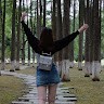 国际贸易进出口 Employee Chloe Wang's profile photo