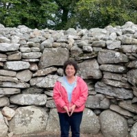 Pam Stein Email & Phone Number