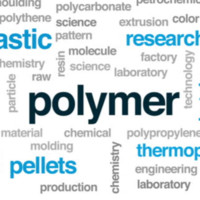 Insight Medical Publishing Employee Polymer Sciences's profile photo