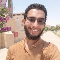 Walid Khalifa's profile photo