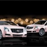 Mary Kay Idependent Consultant Employee Marcina Honore's profile photo