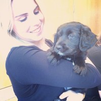 The Wine Society (The International Exhibition Co-operative Wine Society Limited Employee Amy Marks's profile photo