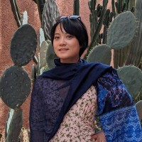 STFC Employee Wenkai Zhang's profile photo