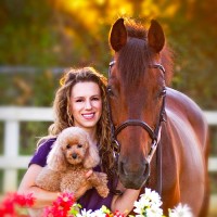The Ohio State University College of Veterinary Medicine Employee Stasia Sullivan's profile photo