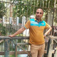 Samy Shehata Email