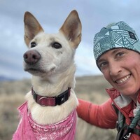 Lisa Carpenter Email & Phone Number