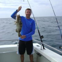 Joe Hutson Email & Phone Number