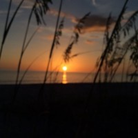 Miami-Dade County Public Schools Employee Lourdes Mendez-Lopez's profile photo