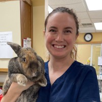 Paws for a Cause Vet Care Employee Lexi Ivaska's profile photo