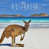 Yangwha Australia Employee Ahries Molina's profile photo