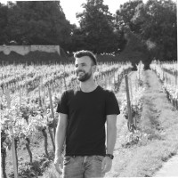 Celonis Employee Markus Springer's profile photo