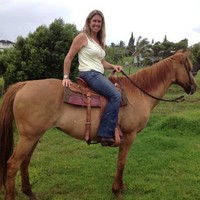 Hawaiiana Management Company Employee Lisa Howard's profile photo