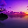Francy Cruz Email