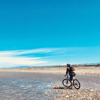 TD Structures Employee Tyler Wang's profile photo