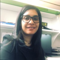 Community Capital New York, Inc Employee Yedmy Batista's profile photo