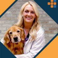 CityVet Employee Erin Tate's profile photo