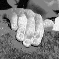 Carintreggeland Employee Danielle Wichems's profile photo