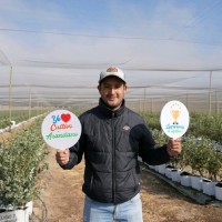 Sociedad Agrícola Drokasa S.A. Employee Renato Gallardo Palacios's profile photo