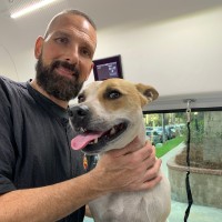 Aussie Pet Mobile Sherman Oaks Employee Vito Autiero's profile photo