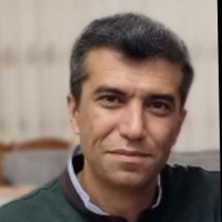 SamandRail Employee Alireza Mirhabibi's profile photo
