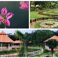 Nature First Employee Panchayya Naturefirst's profile photo