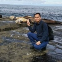 Hirundo optics Inc Employee Justin Yang's profile photo