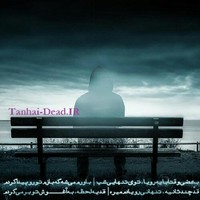 PC SOFT Employee M Iran's profile photo